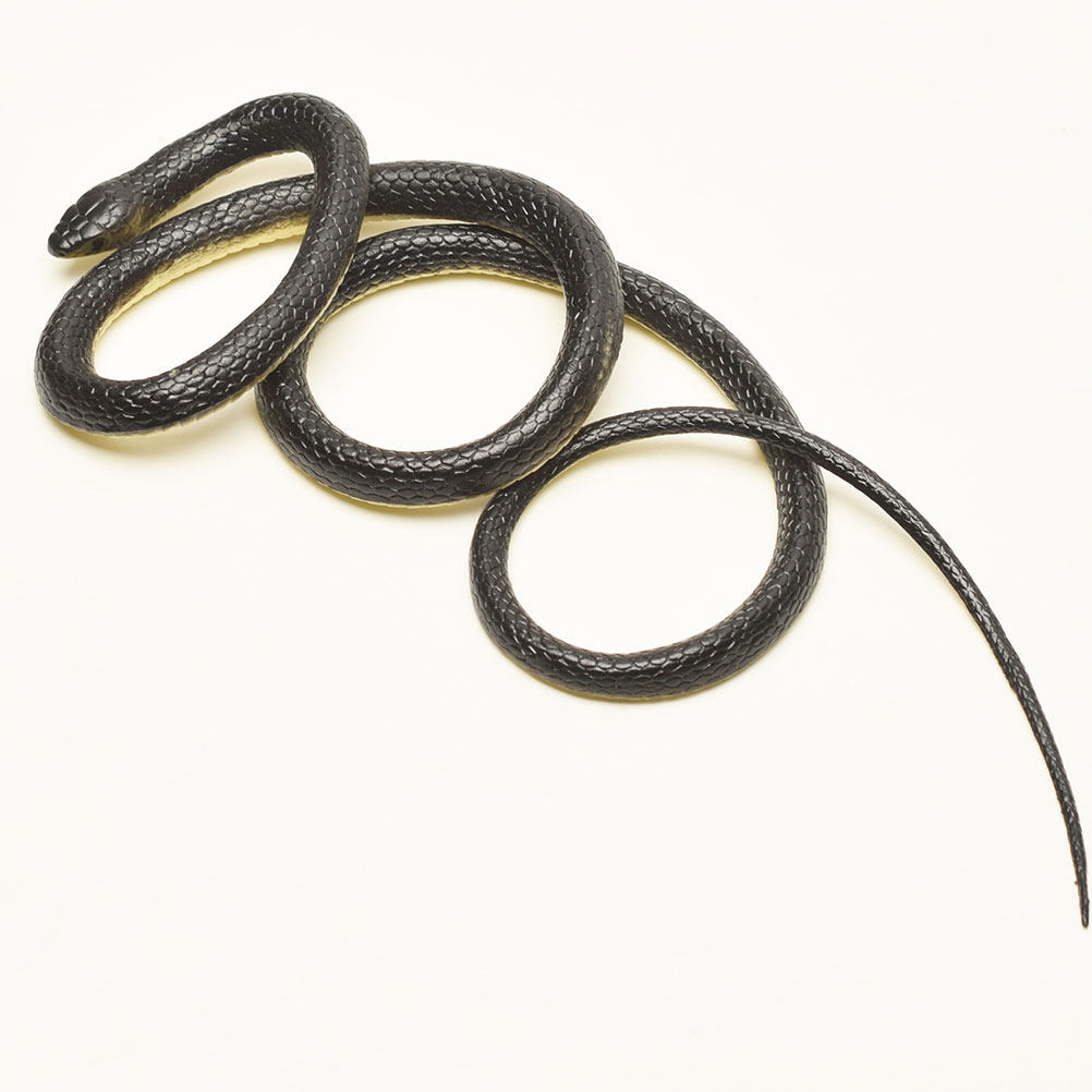 Realistic Green Snake Prop for - Prank Toys ulasan dan harga